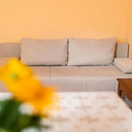 Appartamento Apartma Janja *