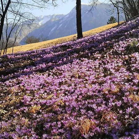 Apartma Janja Appartement Bovec