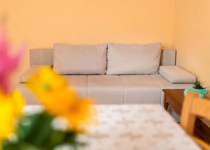 Apartament Apartma Janja *