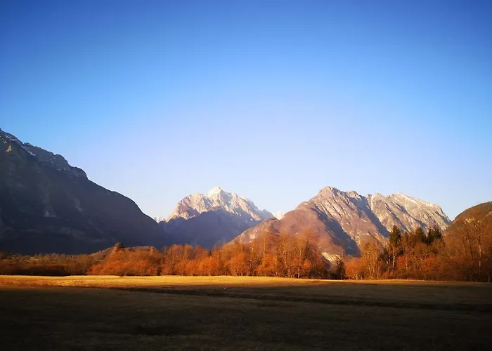 Apartma Janja Apartamento *