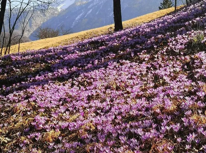 Apartma Janja Apartament Bovec